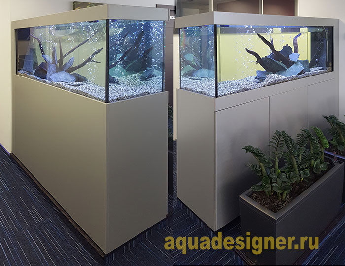 Дизайн аквариума на заказ